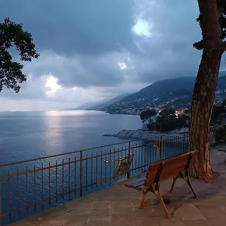 A Dream Codice Citra 010047-lt-0161 Recco