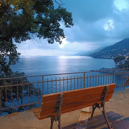 Lejlighed A Dream Codice Citra 010047-lt-0161 Recco