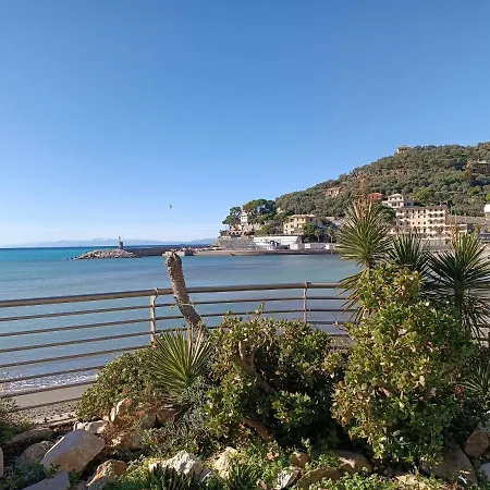 A Dream Codice Citra 010047-lt-0161 Recco